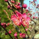 (주)광양본가 이미지