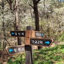 가교2리마을회관 Daum카페