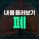 내마음속동물병원 네이버블로그