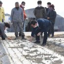 마리면-33 이미지