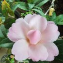 김인호농장 이미지