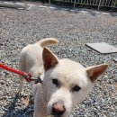 거제남서로 이미지