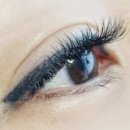 데일리아이래쉬 이미지