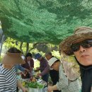 봉산재 창호 도배(1차) 이미지