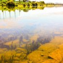 영신유원지 이미지