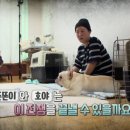 호야켄넬 이미지