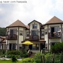 숲속의 별들 이미지