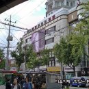 서래갈매기 - 안동시 광명로 171-6 | 서래갈매기