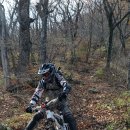 윙바이크 이미지