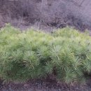 내촌면복지회관 이미지