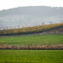 태신목장 이미지