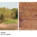 창원 다호리고분군 이미지