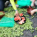 극동검도관 이미지