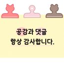 국제횟집