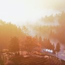 차밭매점 이미지