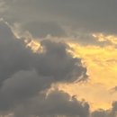 곰배령 벨리 이미지