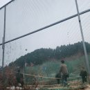 백낙제 플랫하우스 이미지