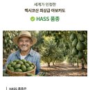 더오일 | 아보카도유 추천, 더건강플러스 아보카도오일 활용 후기