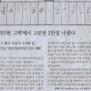 홀리호랑
