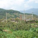 옥룡북초등학교 이미지