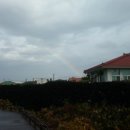 모와분식식당 이미지