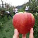 하궁농장 이미지