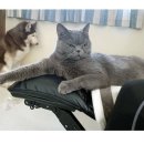 허숙희네 이미지