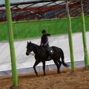 동서울 승마장 이미지