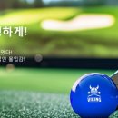 바이킹 스크린 파크골프 이미지