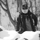 화이트사 이미지