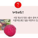 차동진농장 이미지