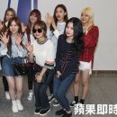 엘리패션