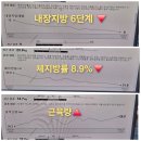 리즈핏점핑체온 | 월곡동우산동점핑다이어트 빼빼핏에서 여름오기전에 서둘러 다이어트성공하자!
