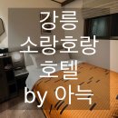 소랑헤어 | [강릉]강릉역 근처 7분거리, 가성비 호텔 ‘소랑호랑 호텔 by 아늑’ 내돈내산 후기