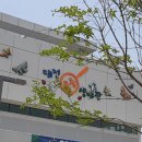 둔산대로 이미지