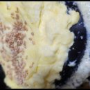 부천-중동-부천-109 이미지