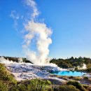 플렌티숲 이미지