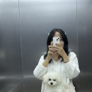 신월라온동물의료센터 이미지