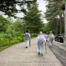 용산구치매안심센터 이미지