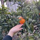 써니 빌리지 이미지