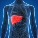 강동천호내과의원 이미지