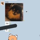태형 Daum카페