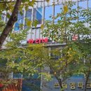 하리네 - 서귀포시 일주서로2048번길 156-21 | 하리네