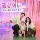 아트팩키지 | 평창 이나트 미디어아트 아기와 두 번째 방문, 알펜시아 패키지 후기