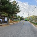 동서트레일21,22구간(진골마을-장동산림욕장-임도삼거리-대청호자연생태관-신상교-와정삼거리) 이미지