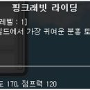 핑크래빗
