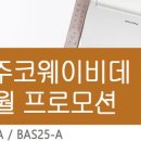 피비티제주