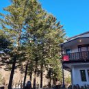 4940 | 하이원카페 추천 정선 아우로라, 대저택같은 고즈넉한 분위기에 반한 솔직후기