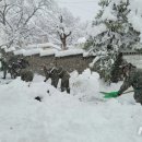 고성군 5 이미지