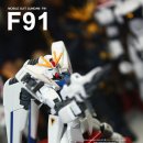 F91 이미지